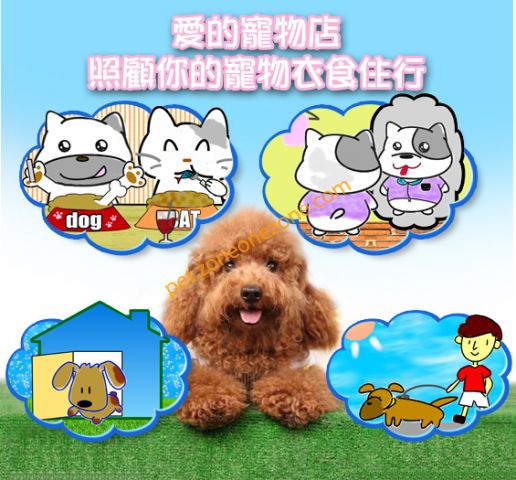 愛的寵物店 Honey Pet Shop (香港仔分店) - 