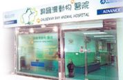 銅鑼灣動物醫院 Causeway Bay Animal Hospital