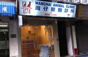灣仔獸醫診所 Wanchai Animal Clinic