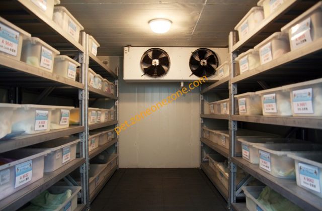 (已結業) 寵之天國寵物善終服務 H.K. Pet's hospital care service (元朗屯門寵物善終服務 - 客戶服務中心、環保火化室) - 
